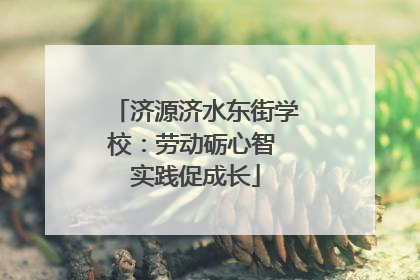 济源济水东街学校：劳动砺心智 实践促成长