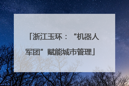 浙江玉环：“机器人军团”赋能城市管理