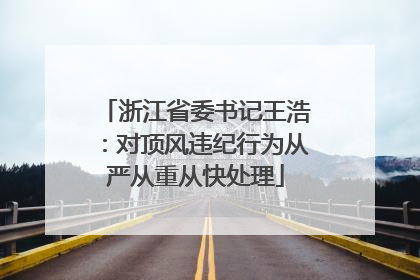 浙江省委书记王浩：对顶风违纪行为从严从重从快处理