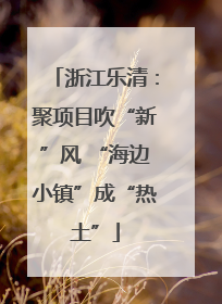 浙江乐清：聚项目吹“新”风 “海边小镇”成“热土”