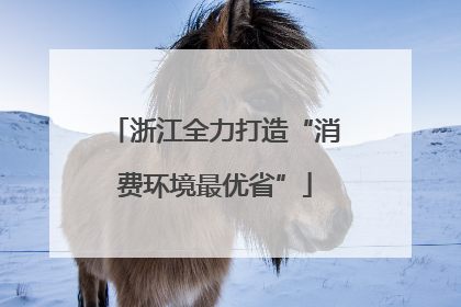 浙江全力打造“消费环境最优省”