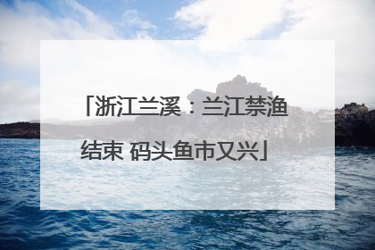浙江兰溪：兰江禁渔结束 码头鱼市又兴