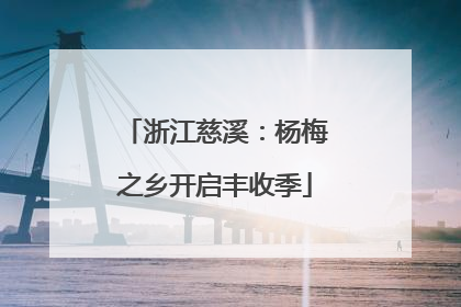 浙江慈溪：杨梅之乡开启丰收季