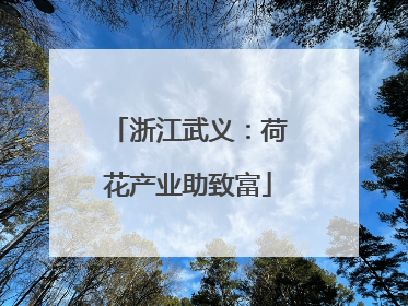 浙江武义：荷花产业助致富