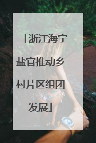 浙江海宁盐官推动乡村片区组团发展