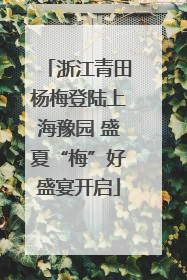 浙江青田杨梅登陆上海豫园 盛夏“梅”好盛宴开启