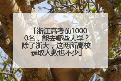 浙江高考前10000名，能去哪些大学？除了浙大，这两所高校录取人数也不少