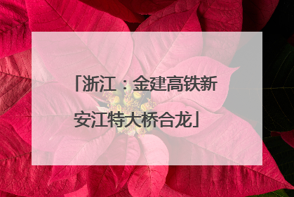 浙江：金建高铁新安江特大桥合龙