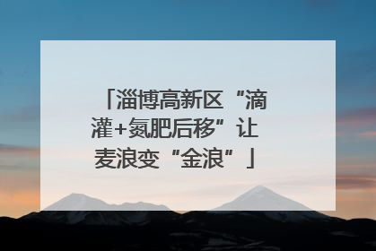 淄博高新区“滴灌+氮肥后移”让麦浪变“金浪”