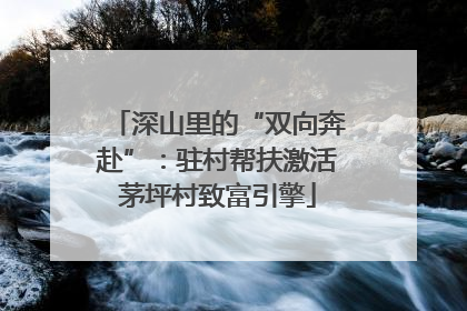 深山里的“双向奔赴”：驻村帮扶激活茅坪村致富引擎