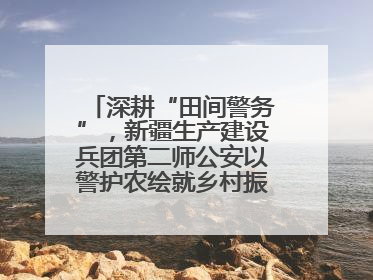 深耕“田间警务”，新疆生产建设兵团第二师公安以警护农绘就乡村振兴平安画卷