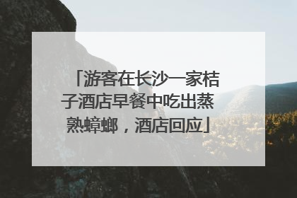 游客在长沙一家桔子酒店早餐中吃出蒸熟蟑螂，酒店回应