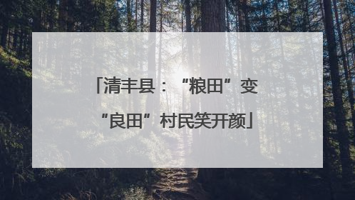 清丰县：“粮田”变“良田”村民笑开颜