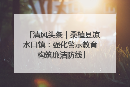 清风头条｜桑植县凉水口镇：强化警示教育 构筑廉洁防线