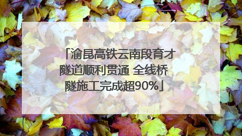 渝昆高铁云南段育才隧道顺利贯通 全线桥隧施工完成超90%