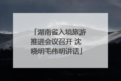 湖南省入境旅游推进会议召开 沈晓明毛伟明讲话