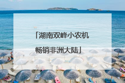 湖南双峰小农机畅销非洲大陆