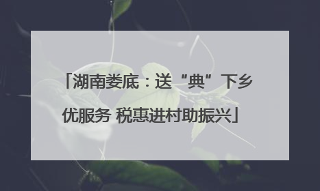 湖南娄底：送“典”下乡优服务 税惠进村助振兴