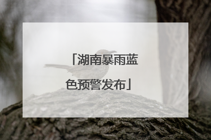 湖南暴雨蓝色预警发布