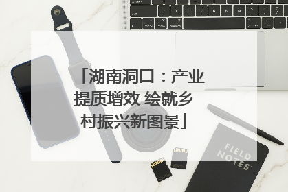 湖南洞口：产业提质增效 绘就乡村振兴新图景