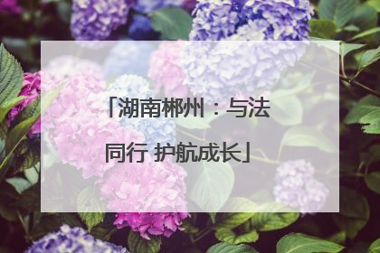 湖南郴州：与法同行 护航成长