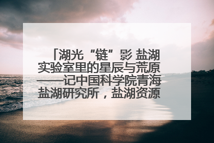 湖光“链”影 盐湖实验室里的星辰与荒原——记中国科学院青海盐湖研究所，盐湖资源化学实验室党总支书记、副主任刘忠