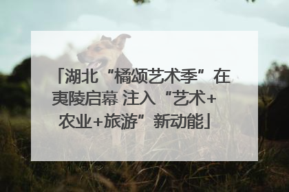 湖北“橘颂艺术季”在夷陵启幕 注入“艺术+农业+旅游”新动能