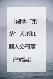 湖北“荆楚”人形机器人公司落户武昌