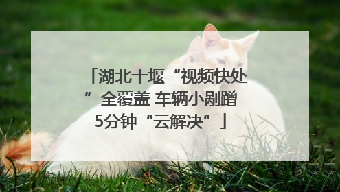 湖北十堰“视频快处”全覆盖 车辆小剐蹭5分钟“云解决”
