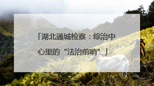 湖北通城检察：综治中心里的“法治前哨”