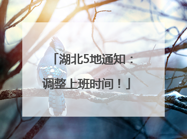 湖北5地通知：调整上班时间！