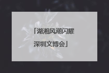 湖湘风潮闪耀深圳文博会
