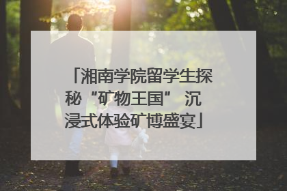 湘南学院留学生探秘“矿物王国” 沉浸式体验矿博盛宴