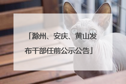 滁州、安庆、黄山发布干部任前公示公告