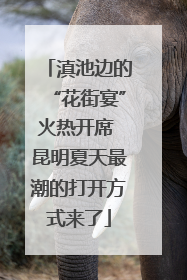 滇池边的“花街宴”火热开席 昆明夏天最潮的打开方式来了