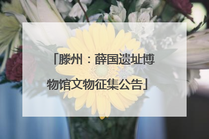 滕州：薛国遗址博物馆文物征集公告