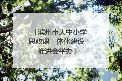 滨州市大中小学思政课一体化建设推进会举办