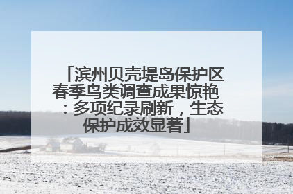 滨州贝壳堤岛保护区春季鸟类调查成果惊艳：多项纪录刷新，生态保护成效显著