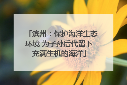 滨州：保护海洋生态环境 为子孙后代留下充满生机的海洋