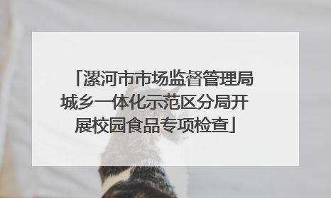漯河市市场监督管理局城乡一体化示范区分局开展校园食品专项检查