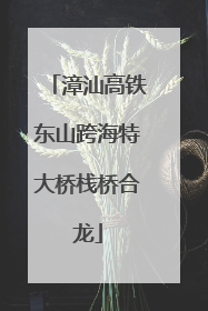 漳汕高铁东山跨海特大桥栈桥合龙