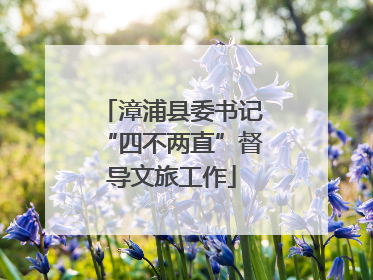 漳浦县委书记“四不两直”督导文旅工作