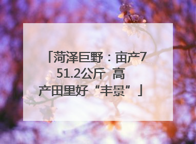 菏泽巨野：亩产751.2公斤  高产田里好“丰景”
