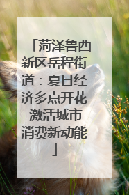 菏泽鲁西新区岳程街道：夏日经济多点开花 激活城市消费新动能