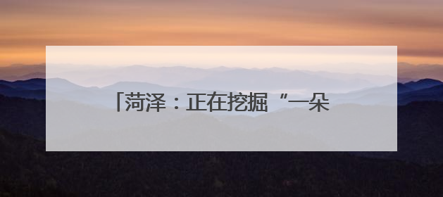 菏泽：正在挖掘“一朵牡丹花”的无限生机