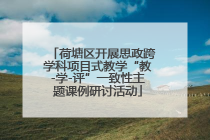 荷塘区开展思政跨学科项目式教学“教-学-评”一致性主题课例研讨活动