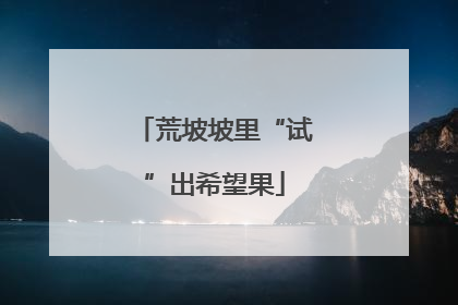 荒坡坡里“试”出希望果