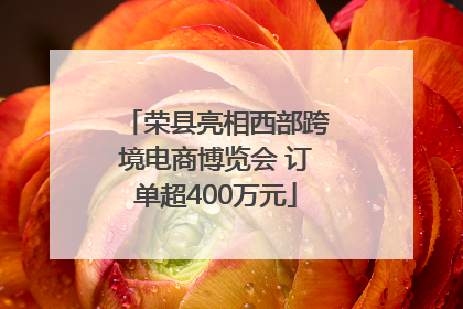 荣县亮相西部跨境电商博览会 订单超400万元
