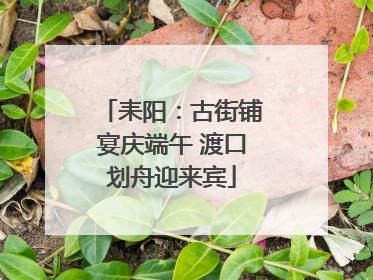 耒阳：古街铺宴庆端午 渡口划舟迎来宾