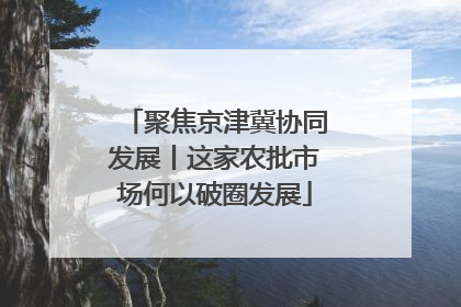 聚焦京津冀协同发展丨这家农批市场何以破圈发展